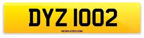 DYZ 1002