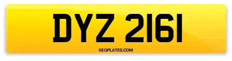 DYZ 2161