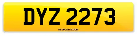 DYZ 2273