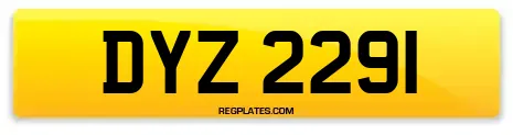 DYZ 2291
