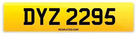 DYZ 2295