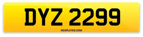 DYZ 2299