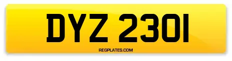 DYZ 2301