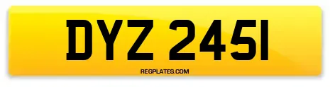 DYZ 2451