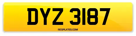 DYZ 3187