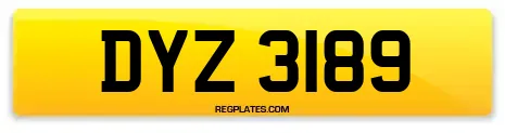 DYZ 3189