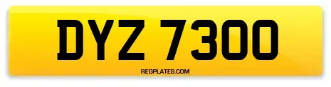 DYZ 7300