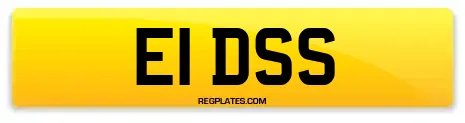 E1 DSS
