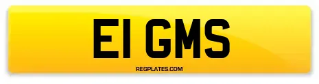 E1 GMS