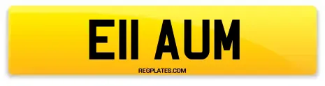E11 AUM