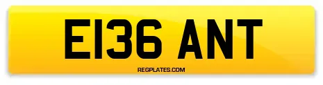 E136 ANT