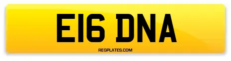 E16 DNA