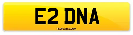 E2 DNA