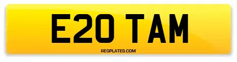 E20 TAM