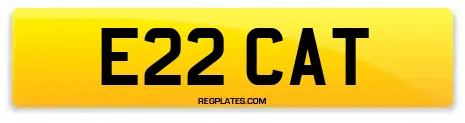 E22 CAT