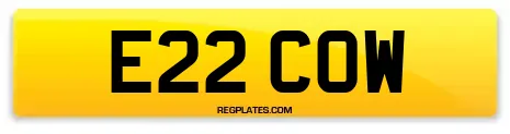 E22 COW