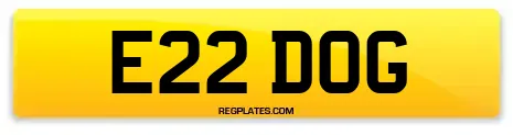 E22 DOG
