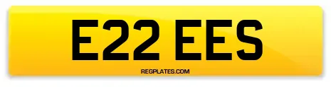 E22 EES