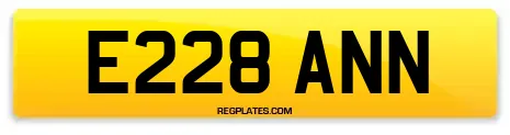 E228 ANN