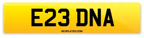 E23 DNA