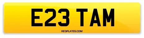 E23 TAM
