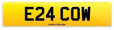 E24 COW