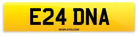 E24 DNA