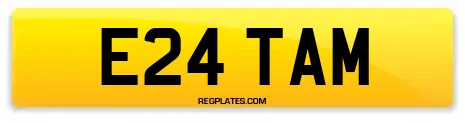 E24 TAM