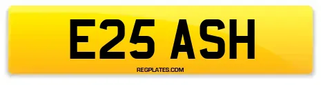 E25 ASH