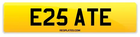 E25 ATE