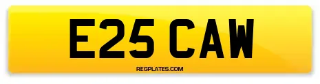 E25 CAW