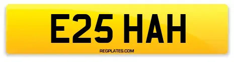 E25 HAH