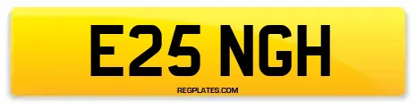 E25 NGH