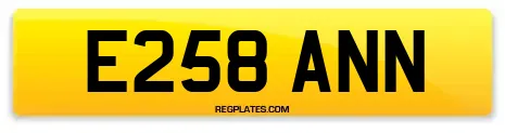 E258 ANN