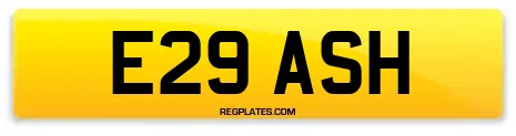 E29 ASH