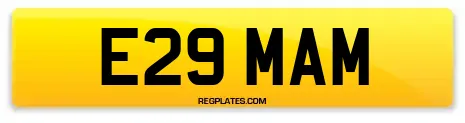 E29 MAM