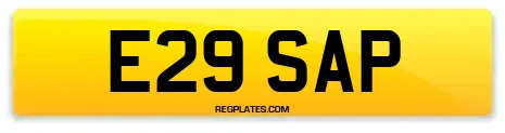 E29 SAP