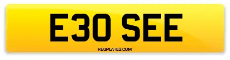E30 SEE