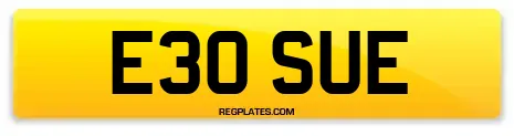 E30 SUE