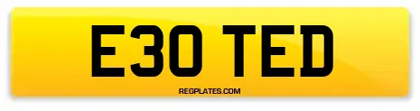 E30 TED