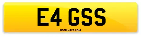 E4 GSS