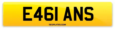 E461 ANS
