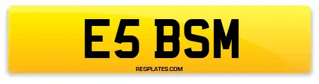 E5 BSM