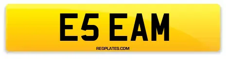 E5 EAM