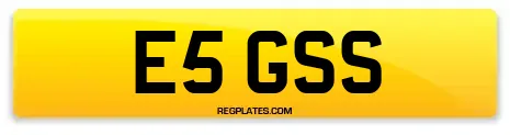 E5 GSS