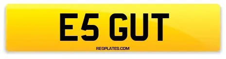 E5 GUT