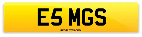E5 MGS