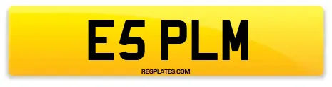 E5 PLM