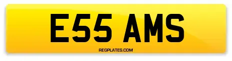 E55 AMS