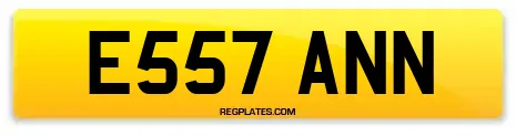 E557 ANN